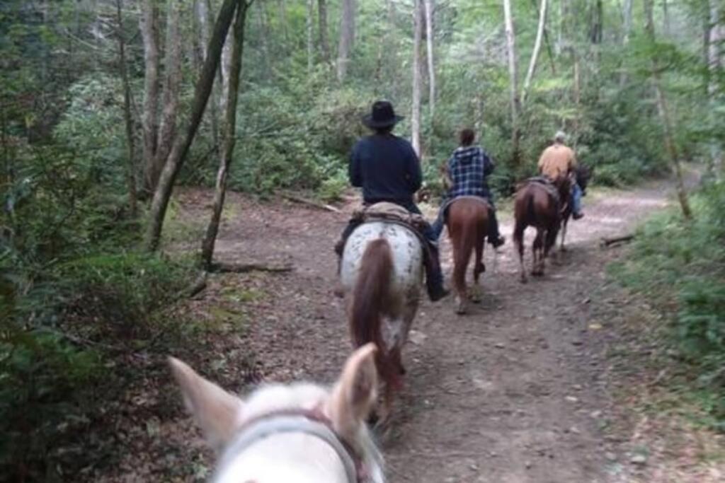 브라이슨시티 Honeymoon Getaway In Woods Near Noc And Smoky Mtn Rr 빌라 외부 사진