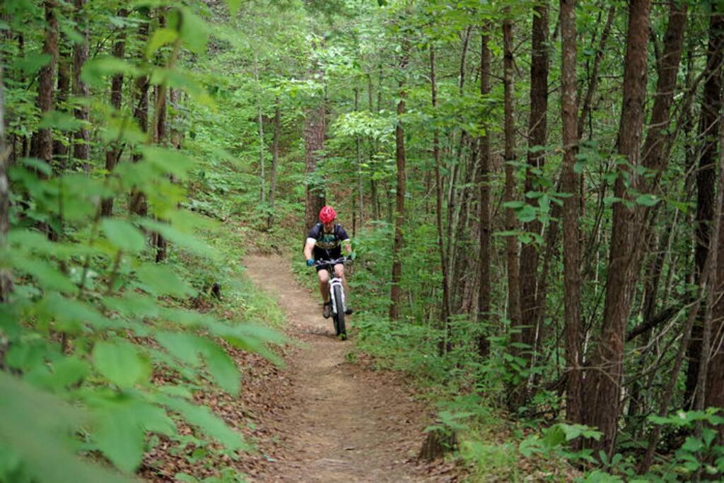 브라이슨시티 Honeymoon Getaway In Woods Near Noc And Smoky Mtn Rr 빌라 외부 사진