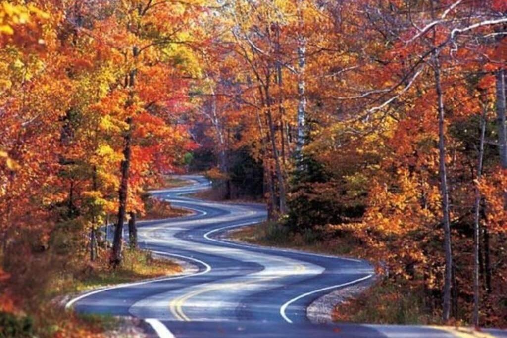 브라이슨시티 Honeymoon Getaway In Woods Near Noc And Smoky Mtn Rr 빌라 외부 사진